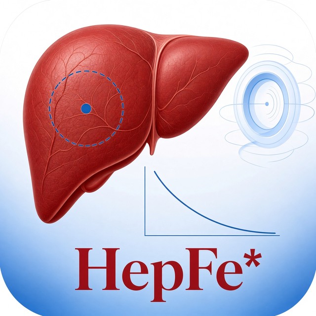 HepFe*